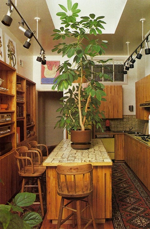 From Decorating With Plants, 1980