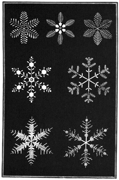 A Diagram of Snowflakes