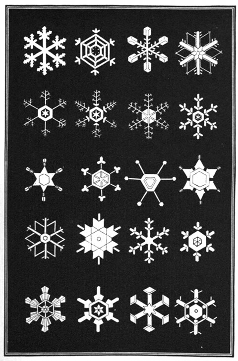 A Diagram of Snowflakes