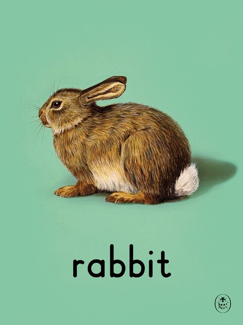 The Ladybird Alphabet Series | AnOther