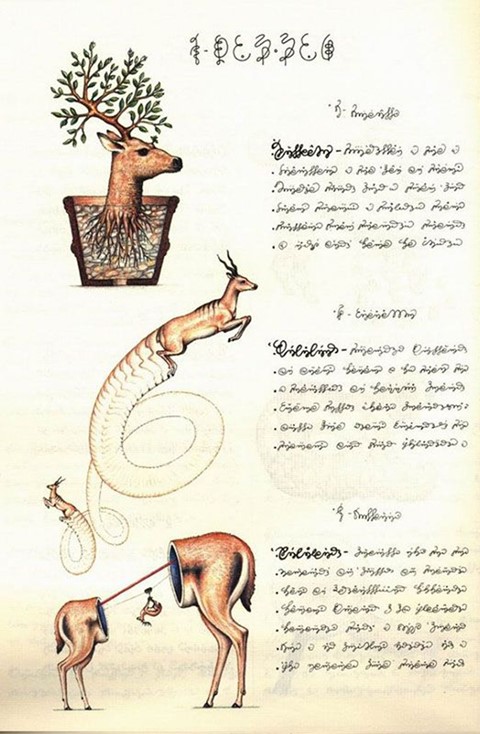 Codex Seraphinianus 