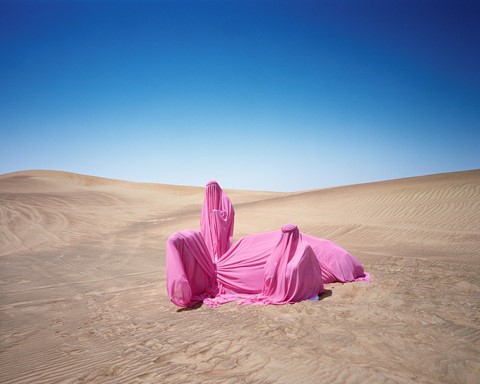 Still Life with Camel, 2016, United Emirates, (c) 