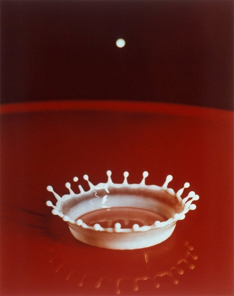 Milkdrop Coronet, 1957 &#169; Dr. Harold Edgerton
