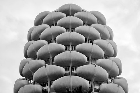 Les Choux de Créteil by Nigel Green for Blue Crow