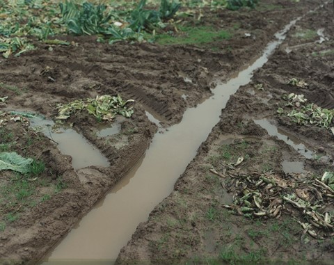 8 &#169; Kate Barry, courtesy Gallois Montbrun et Fabia