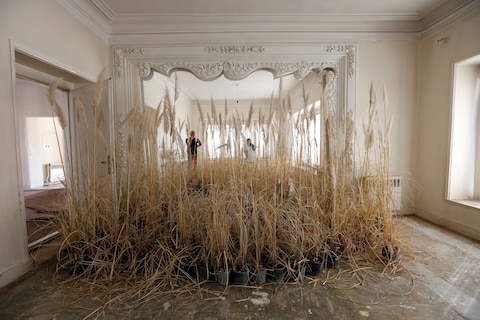 Gohar Dashti - Home - Backstage 01