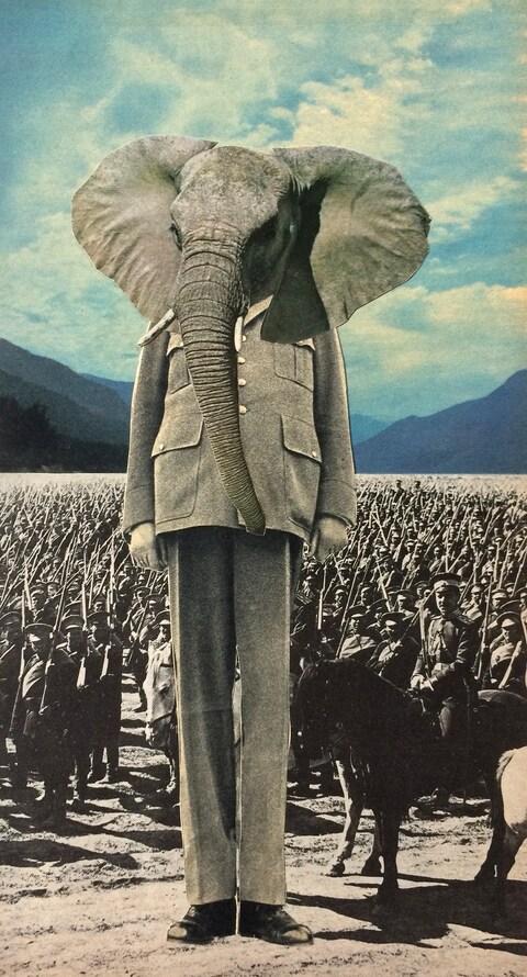 Follow_the_leader_33x18cm