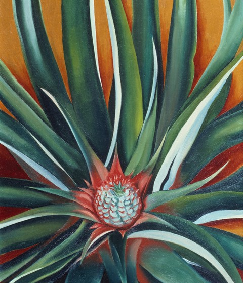 NYBG_Georgia_O'Keeffe_Pineapple_Bud