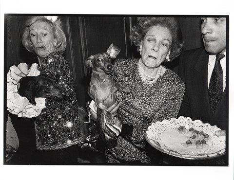 02_Dachshunds fighting over canapes, Barbetta, New