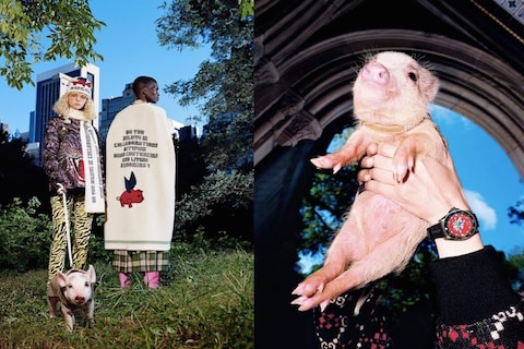gucci-three-little-pigs-collection-01
