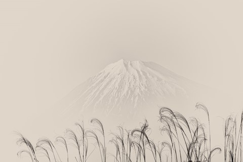 #754