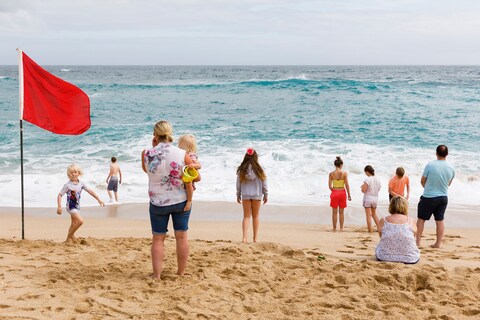 Martin Parr Only Human Phaidon National Portrait Gallery