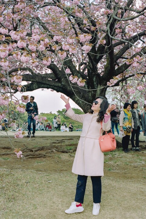 State of Glory by Sybilla Patrizia Tokyo Cherry Blossom