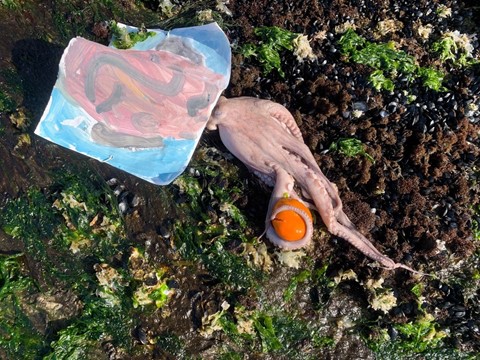 Laure Prouvost, film still, vidéo HD, 2019 (16)