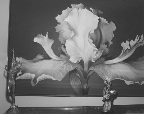 Arnold Kramer, Living Room Wall, Chevy Chase, Mary