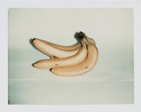 Andy Warhol Photography Jack Shainman Gallery