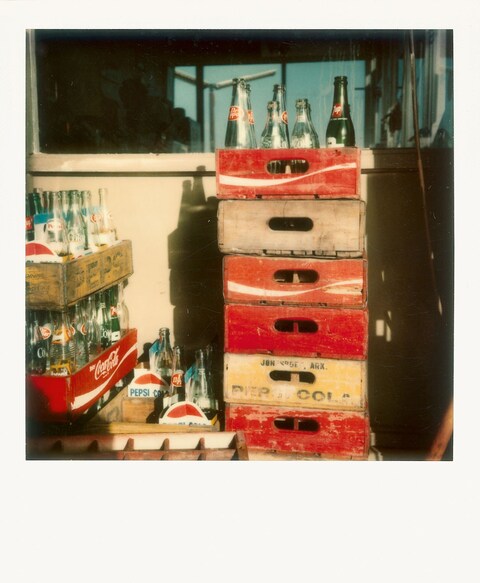 Polaroids by William Eggleston new book Steidl