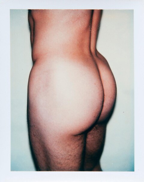 Andy_Warhol_Sex_Parts_Torsos_Polaroid_1977_FA16_00