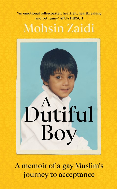 A Dutiful Boy cover image