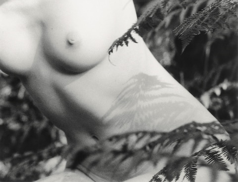 Reunion Daisy Walker photographer nude nature