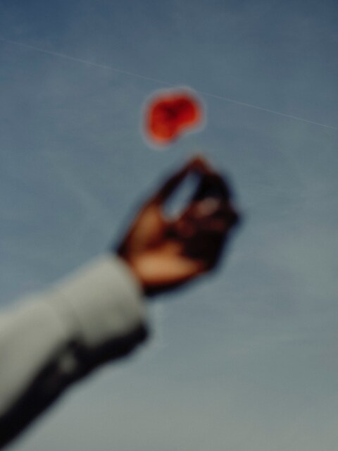 Thomas Goldblum_Poppy in the sky, Paris 2019-15