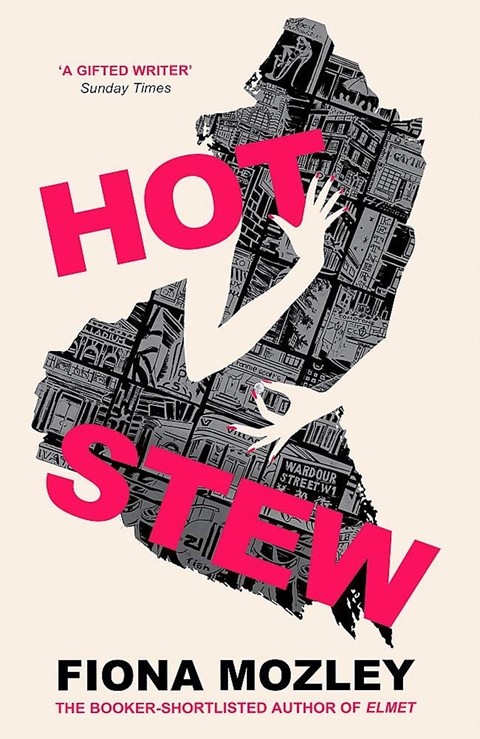 hot-stew-by-fiona-mozley-review-a-ham-fisted-satir