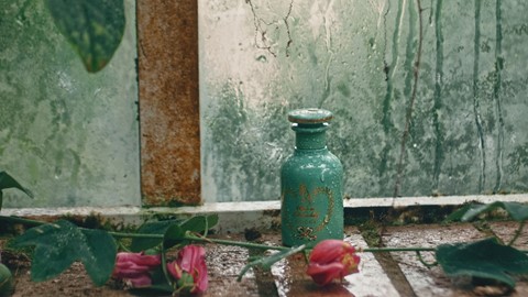 Gucci The Alchemist’s Garden ‘1921’ fragrance
