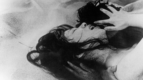 woman-of-the-dunes-1964-ecstatic-dune-embrace-bott