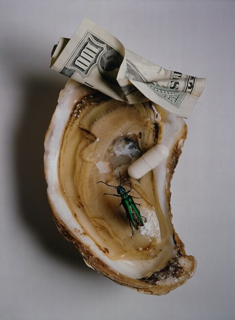 Aphrodisiacs, New York, 1997, gelatin silver print by Irving