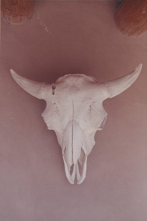 Skull,-Ghost-Ranch