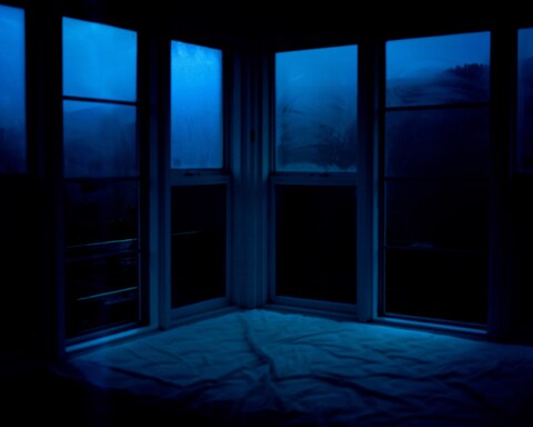 Caroline Tompkins photographer Bedfellow book