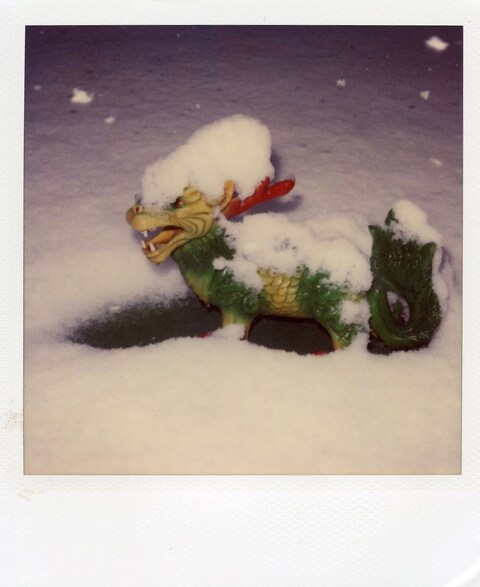 400 Polaroids by Nobuyoshi Araki and Daido Moriyama