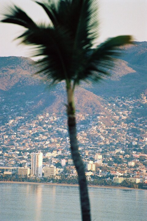 Pia Riverola, Acapulco, Pia Riverola_Courtesy Home