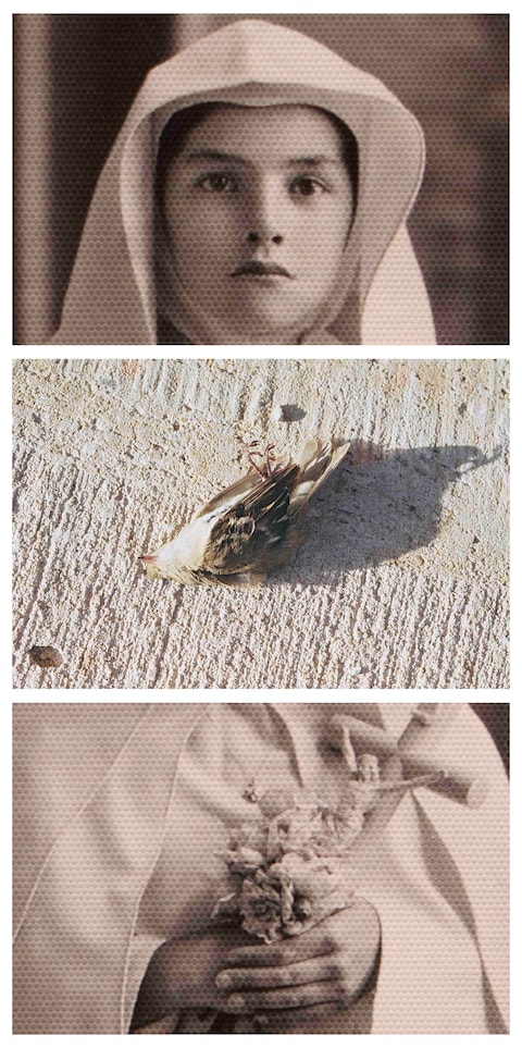 Madre by Marisol Mendez