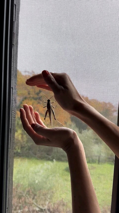 Somewhere by Sam Youkilis