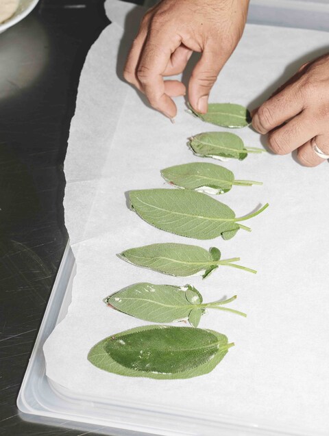 Caf&#233; Cecilia Cookbook by Max Rocha