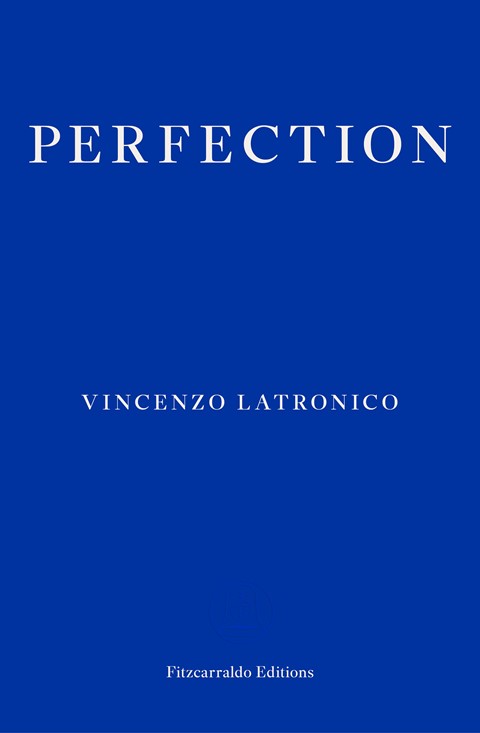 PERFECTION [Vincenzo Latronico]