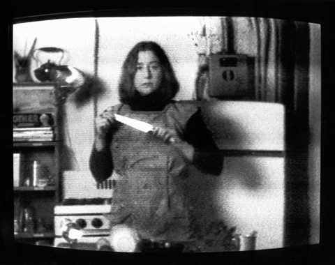 Martha Rosler Feminist Artist Semiotics of the Kitchen