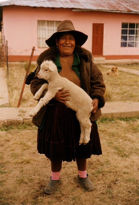 Andean Explorer, As Seen By Colin Dodgson