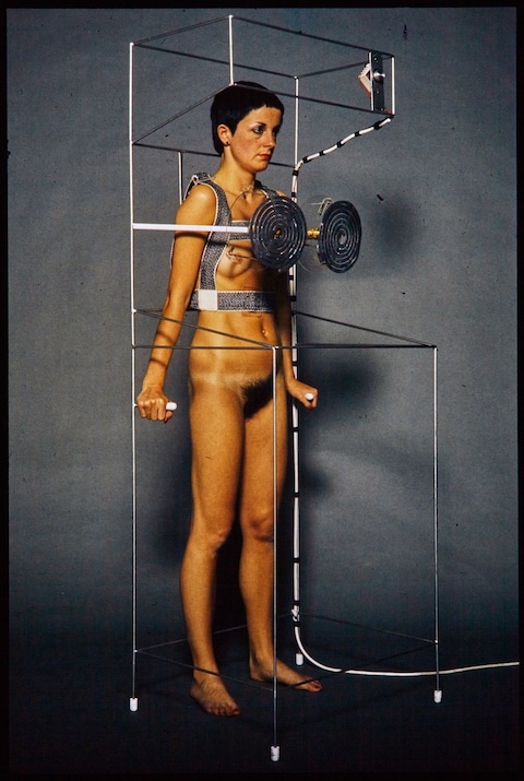 Helen Chadwick: Life Pleasures