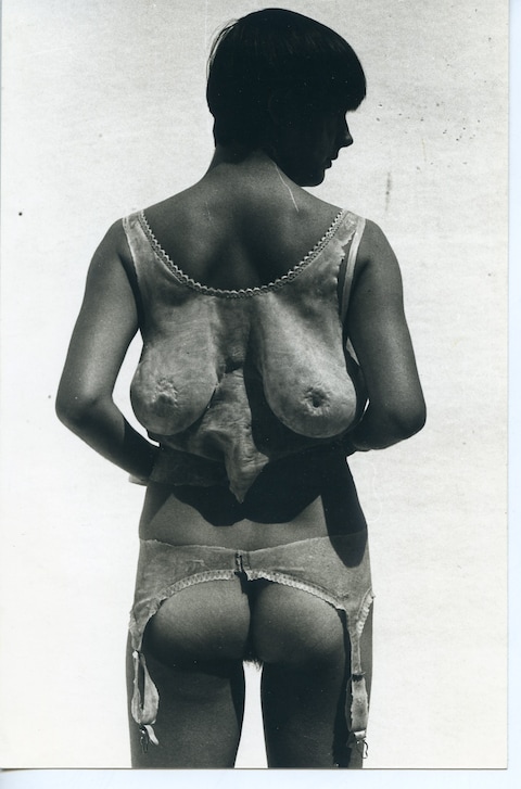 Helen Chadwick: Life Pleasures