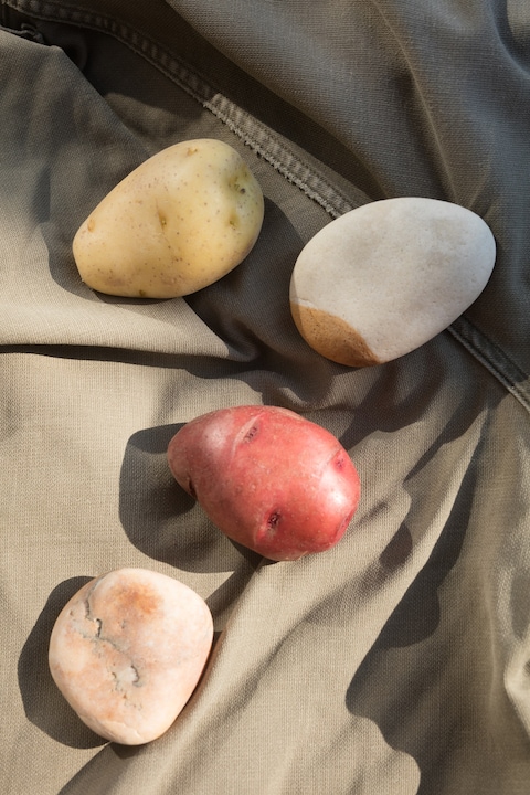 Echo Beach_Courtesy Galerie Buchholz, Galerie Chan
