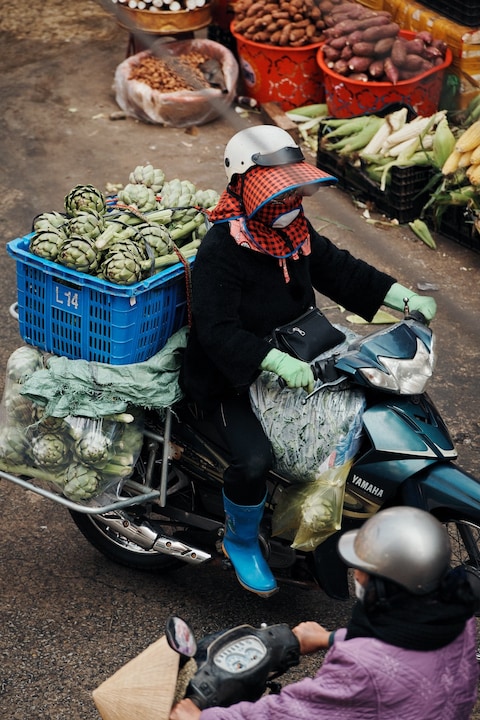 Vietnam by Philipp Paulus and Peter Do