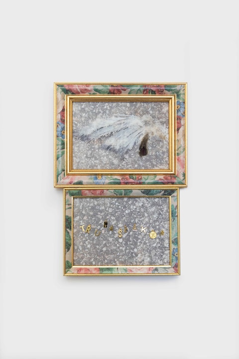 Nicoletti hosting Magician Space, Condo 2026