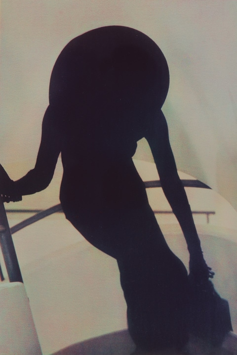 Sheila Metzner and Lillian Bassman: C’est Chic
