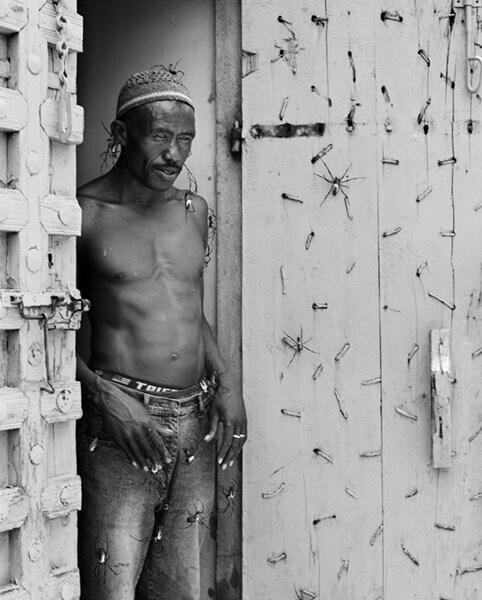 Spider collector, Antananarivo