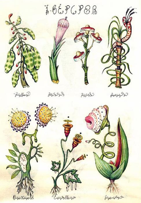 Codex Seraphinianus 