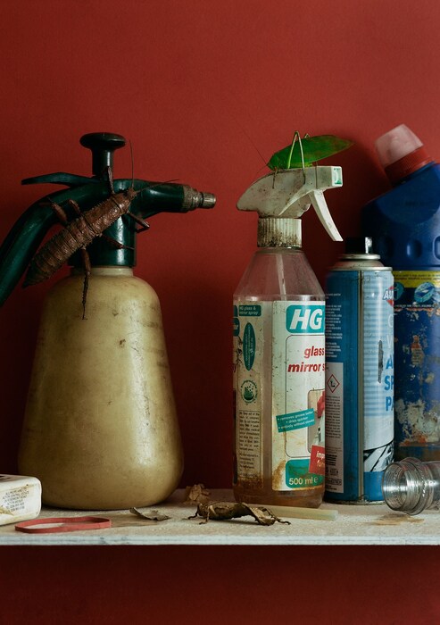 BEN_TOMS_UNTITLED_A06