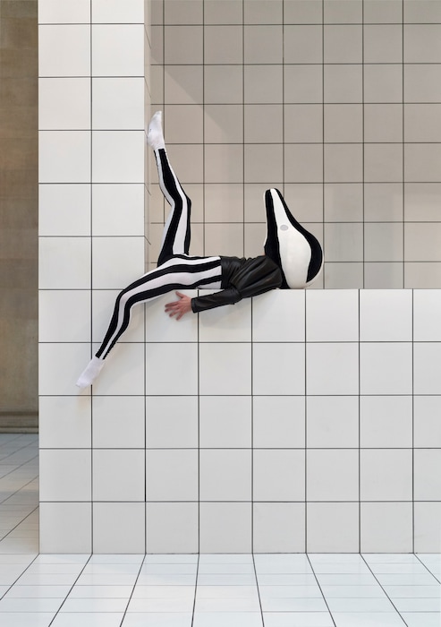 Anthea_Hamilton_press_03