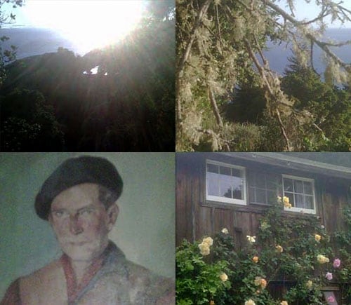 Photography by Rodarte